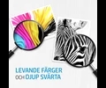 HP LaserJet 203A cyan toner
