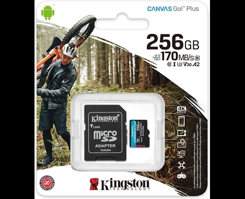 Kingston Canvas Go Plus microSDXC 256GB