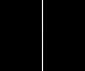 Apple EarPods (Lightning Connector)