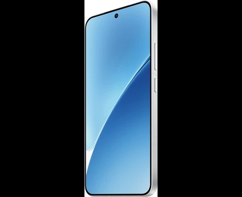 Xiaomi Xiaomi 15 White 12/256 GB