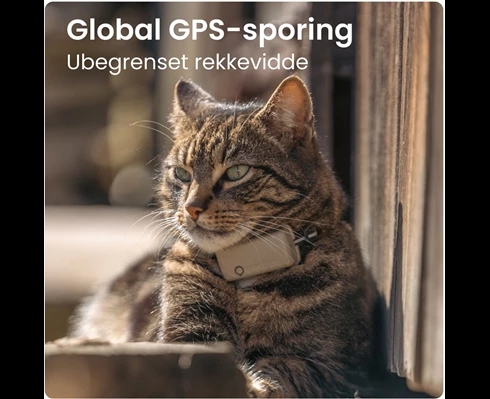 Tractive Tractive GPS CAT Mini - Brown