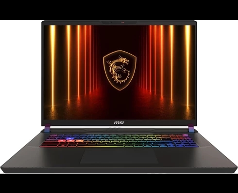 MSI Vector 17 HX AI A2XWIG-001NEU