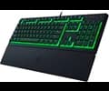 Razer RAZER ORNATA V3 X