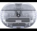 Beats Studio Buds + - Transparent