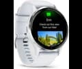 Garmin Venu 3 Whitestone/Passivated OLED