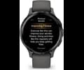 Garmin Venu 3S Pebble Gray/Slate OLED