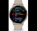 Garmin Venu 3S French Gray/Soft Gold OLED