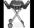 Austin and Barbeque AABQ - Superior Portable 2 Burner Gas Grill