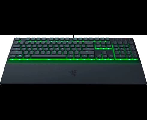 Razer RAZER ORNATA V3 X